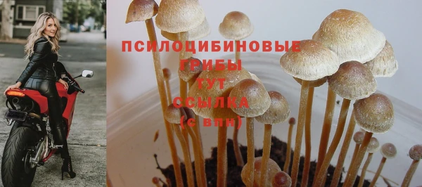 экстази Белоозёрский