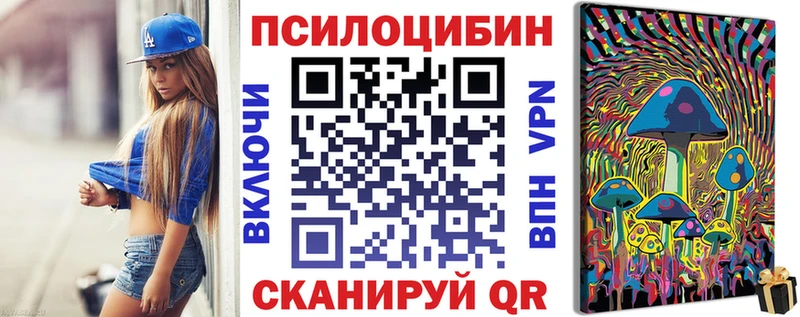 блэк спрут tor  Малоярославец  Псилоцибиновые грибы Psilocybine cubensis 