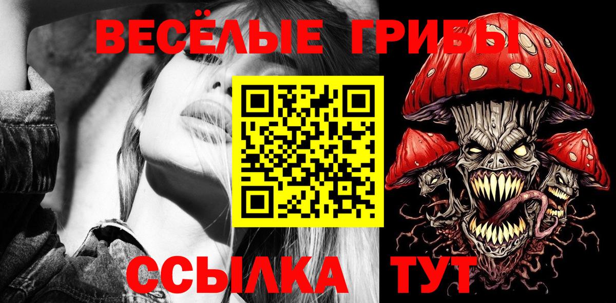 Малоярославец  купить  сайты  Вход с VPN  Галлюциногенные грибы прущие грибы 